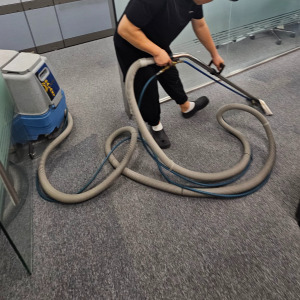 파주 카페트청소